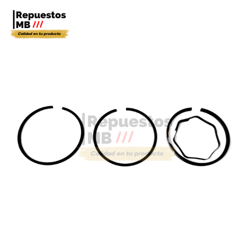 Piston ring